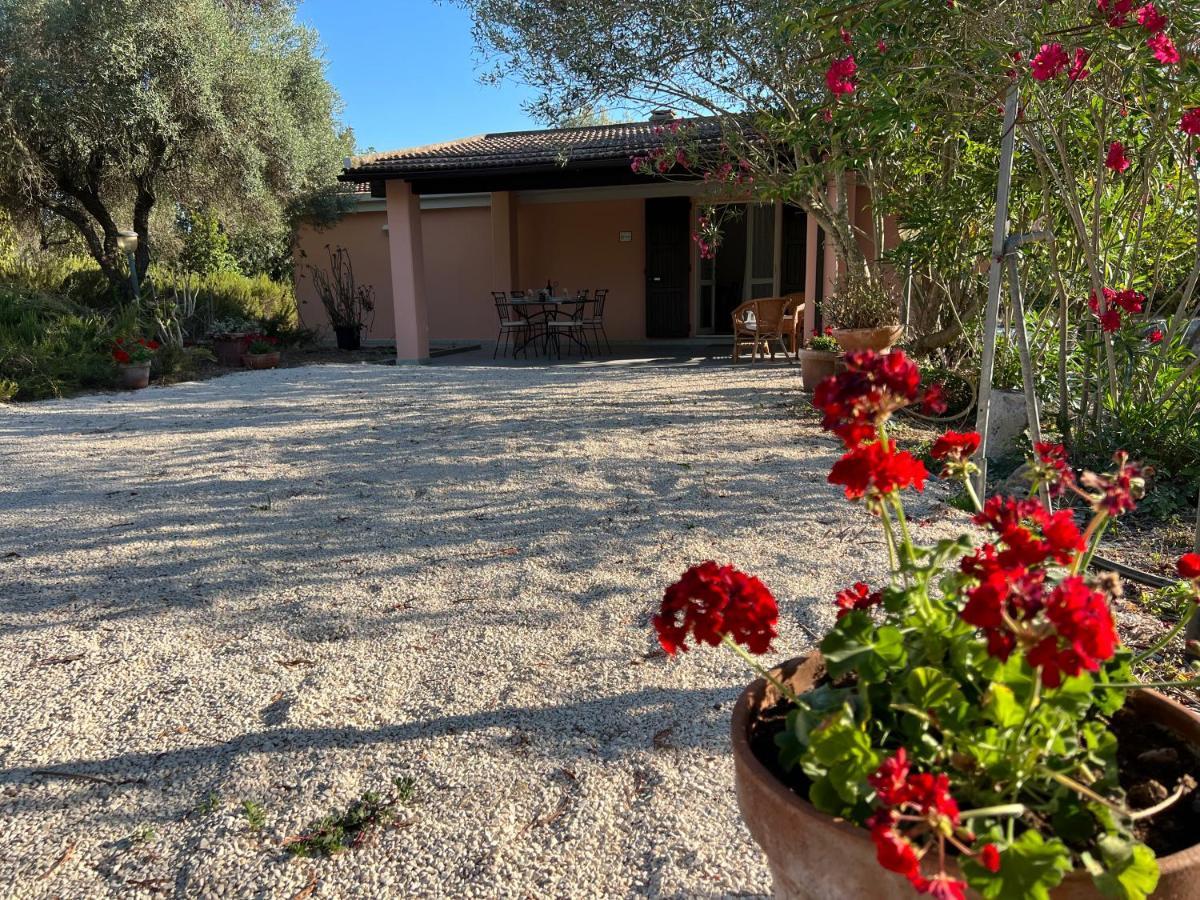 Casa Rosmarino Villa San Giovanni  Kültér fotó