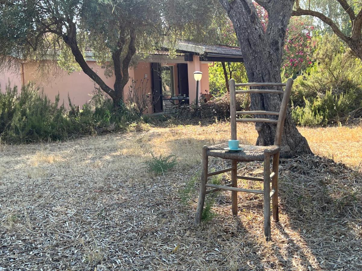 Casa Rosmarino Villa San Giovanni  Kültér fotó